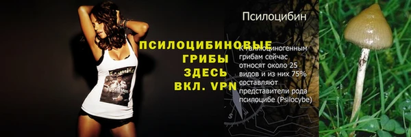 а пвп мука Арсеньев