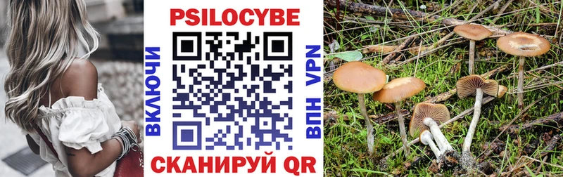blacksprut рабочий сайт  Удачный  Псилоцибиновые грибы ЛСД 